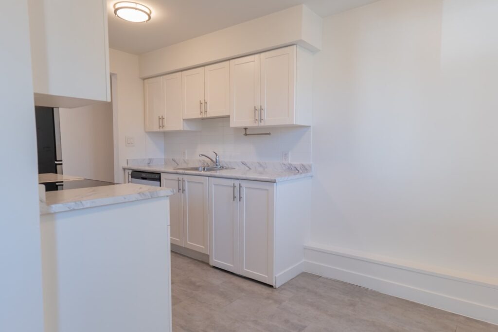Modern 1-Bedroom Apartment with Updated Kitchen & Pet-Friendly Living — photo 4